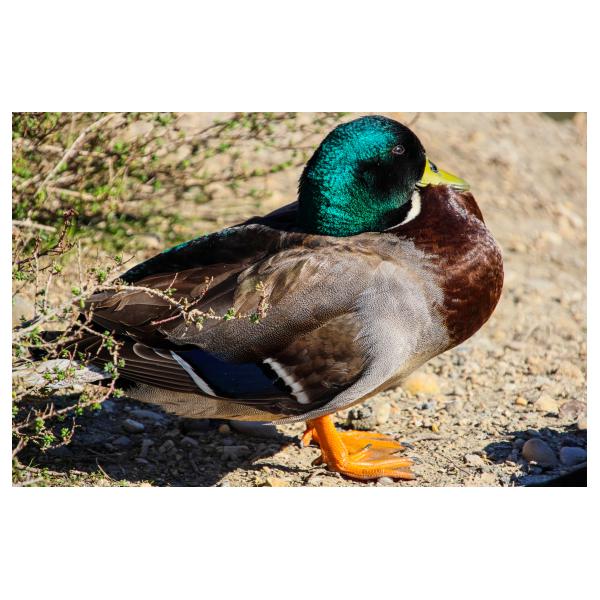 PHOTO84, CLUB, 84 , LUBERON